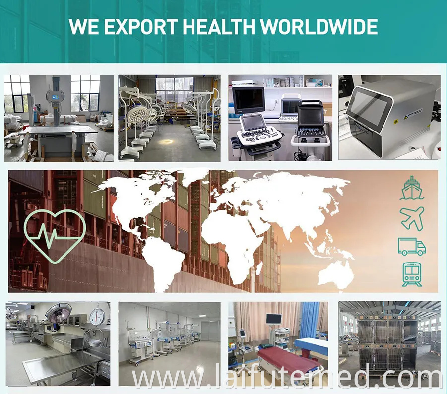 Hospital Vet Clinic Veterinary Intensive Care Unit Pet Dog Puppy Fully Automatic ICU Incubator for Sale